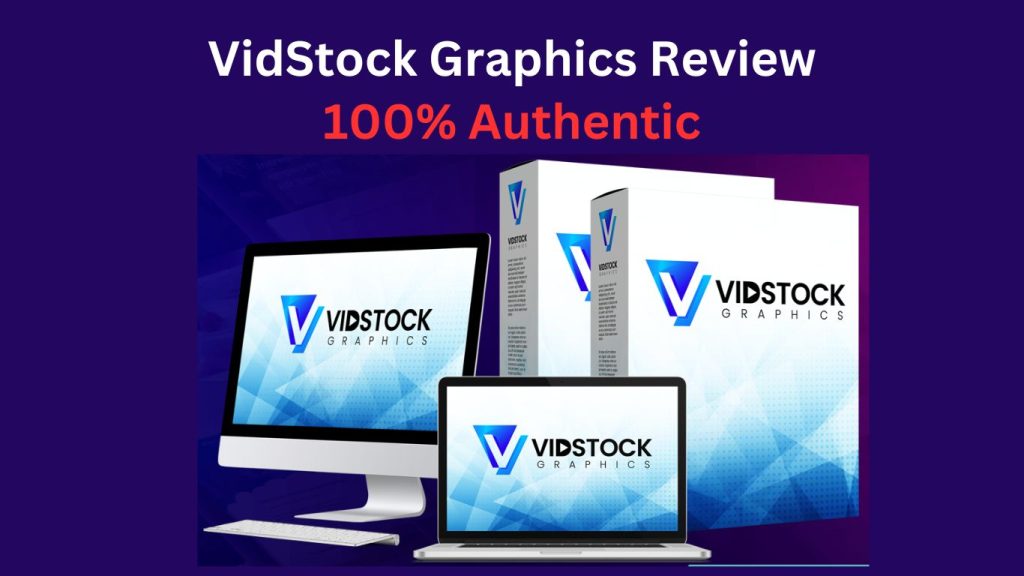 VidStock Graphics Review