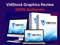 VidStock Graphics Review